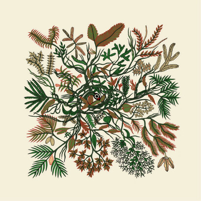 Dal libro "Creazione", Salani, illustrato da Bhajju Shyam - arte Gond (India centrale) 