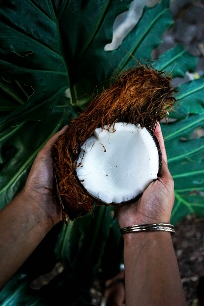 Coconut water calms nervous disorders