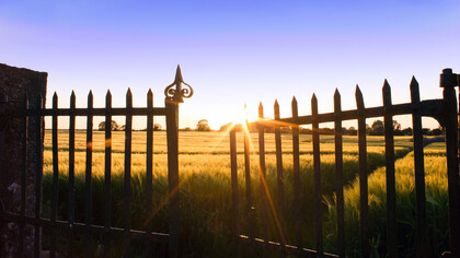 El sol intenso de la mañana toca el césped de una pradera