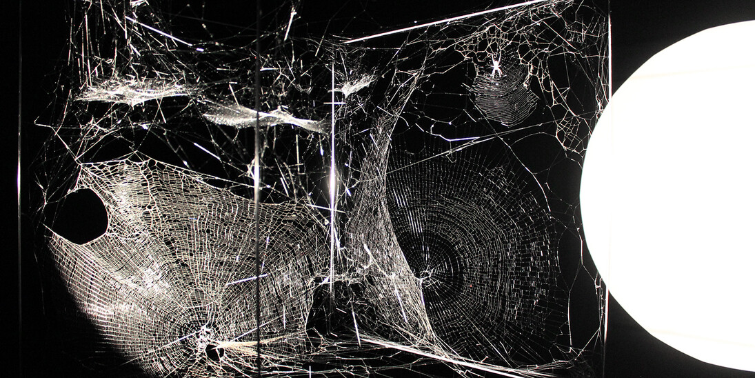 Gravity. Courtesy of Maxxi 