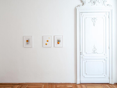 Linda Carrara, Il punto focale, exhibition view. Courtesy of Tucci Russo Gallery