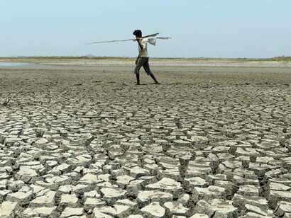 Humans drive themselves over the edge of extinction