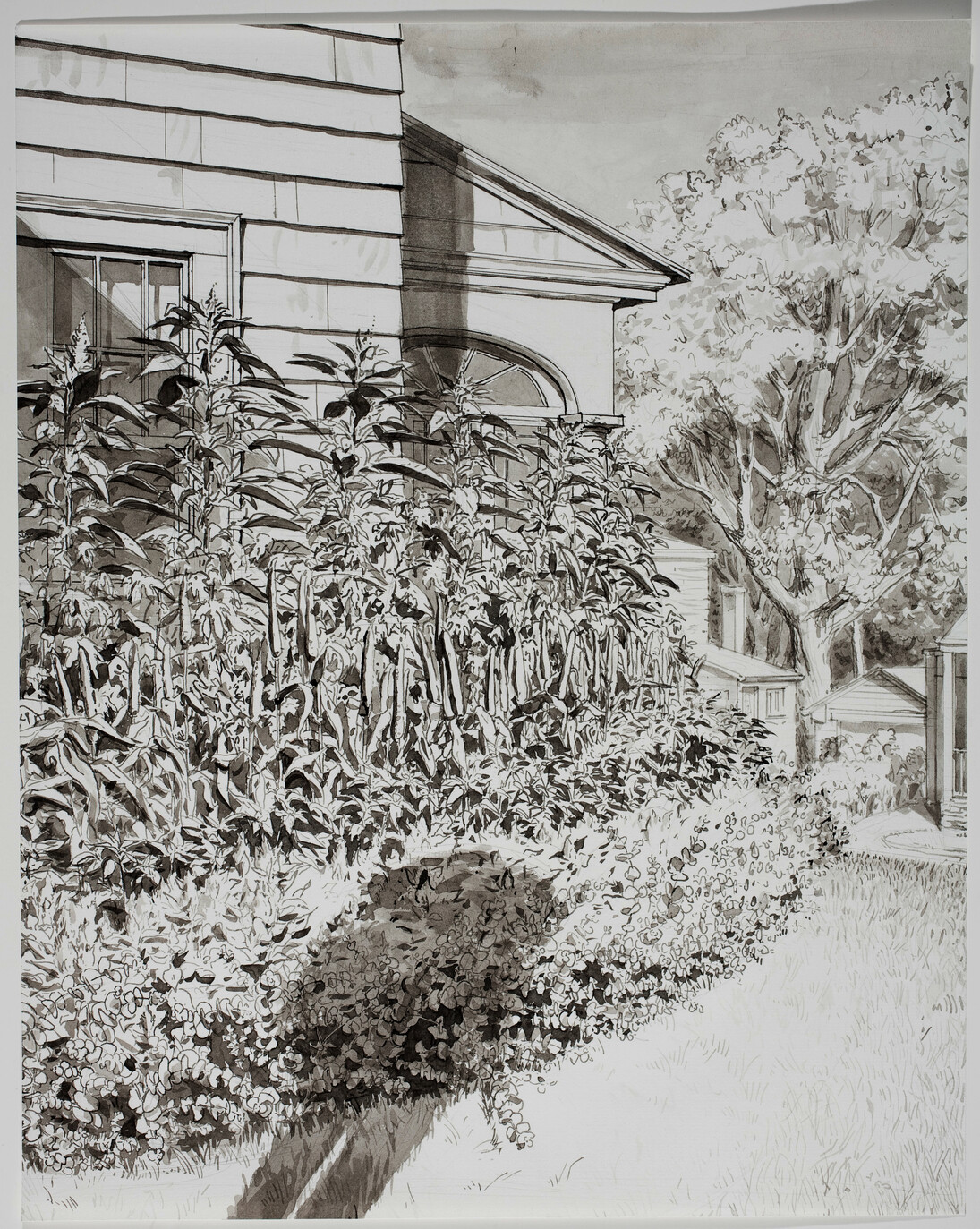 Andrew Raftery, 2nd of September Flowerbed Study with Shadow Pen and Wash