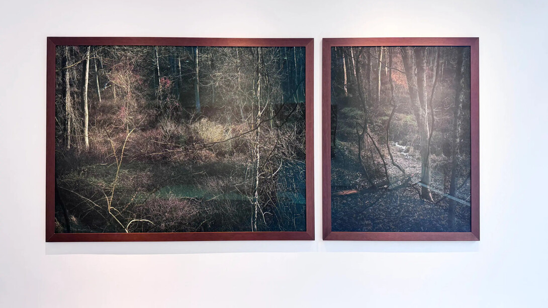 Edo Costantin, Winter solstice: seeds of nothingness, exhibition view. Courtesy of Praxis