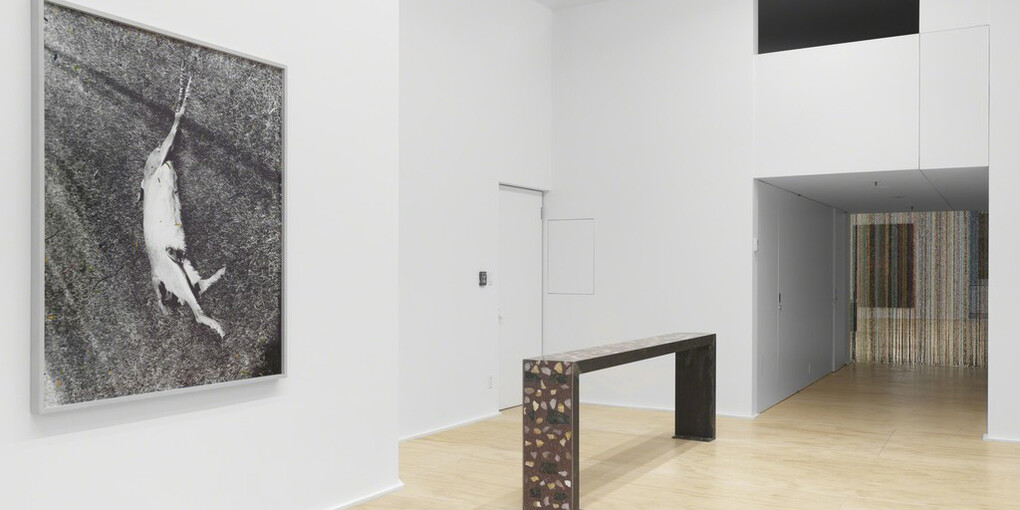 Sam Falls, Exhibition view. Courtesy of Eva Presenhuber