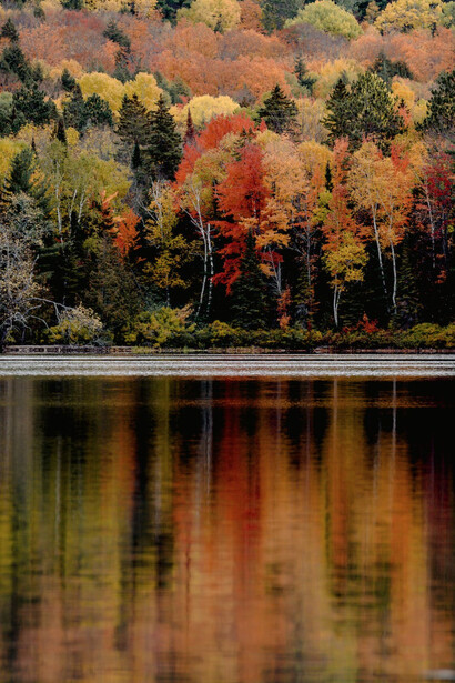 Un lago nel quale si riflettono alberi rivestiti di foglie dai colori tipicamente autunnali 