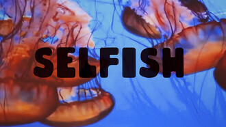 Pedro Cabral Santo, Selfish, 2014, vídeo-instalação. Cortesia Mirian Nogueira Tavares 