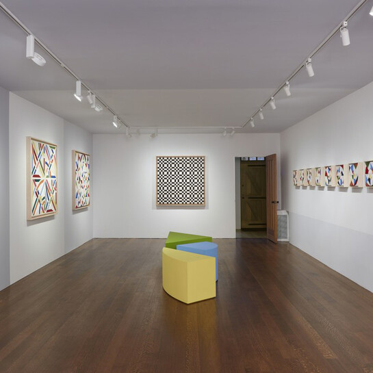 Eduardo Terrazas. Courtesy of Timothy Taylor 16×34