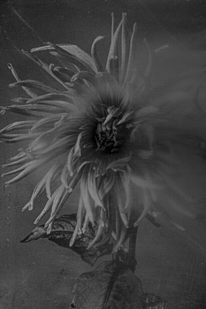 Dirk Braeckman, Echtzeit#067-24//AP, 2024. Avec l'aimable autorisation du FOMU Foto Museum