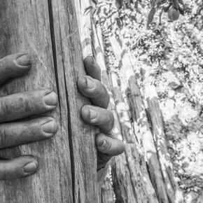 I Contadini Volanti (E Altri Eroi). Courtesy of Castello di Postignano