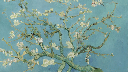 Vincent van Gogh, Almendro en flor (detalle), 1890