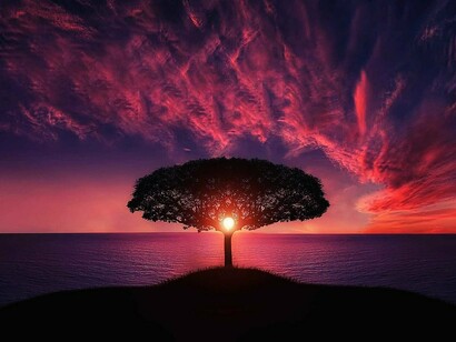 The quantum process of observation is the paradigm of our contact with the world in general