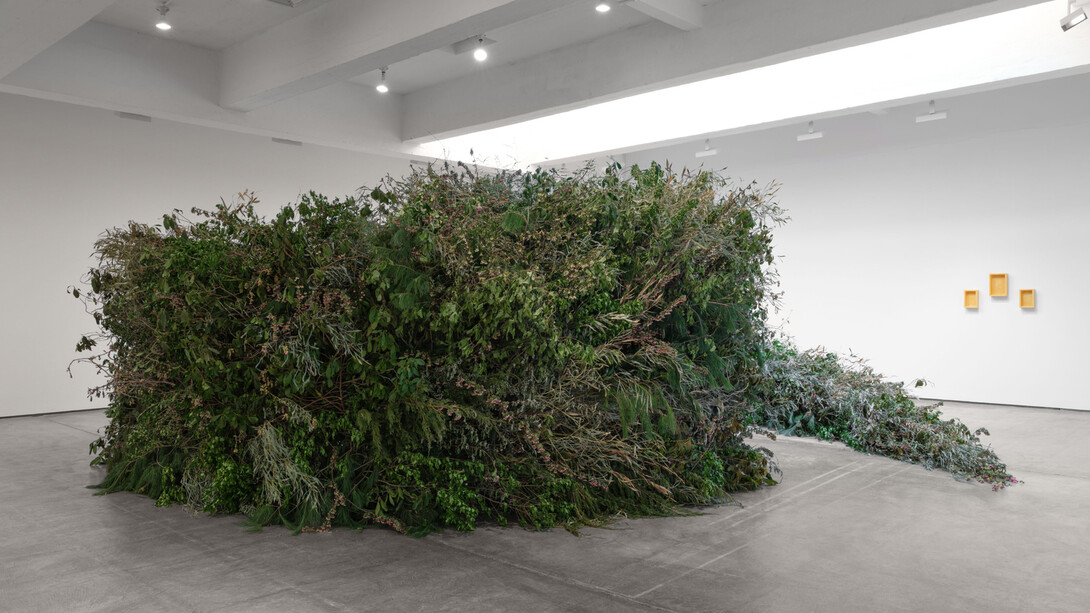 Meg Webster, Thicket, exhibition view. Courtesy of Paula Cooper Gallery