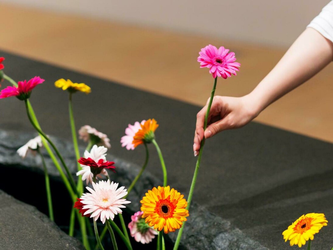 Lee Mingwei, The Moving Garden. Courtesy of NGV