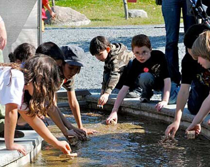Water and How It Moves. Courtesy of Montshire Museum of Science