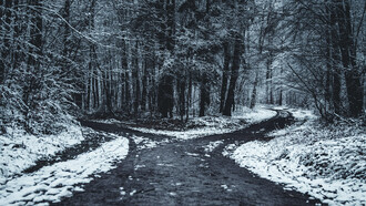 Bivio, scelta. Che terribile alternativa: salvare la moglie oppure il figlio? Condannare a morte il figlio oppure la moglie? Molti di noi, ne sono certo, preferirebbero morire, piuttosto che trovarsi in una tale condizione!