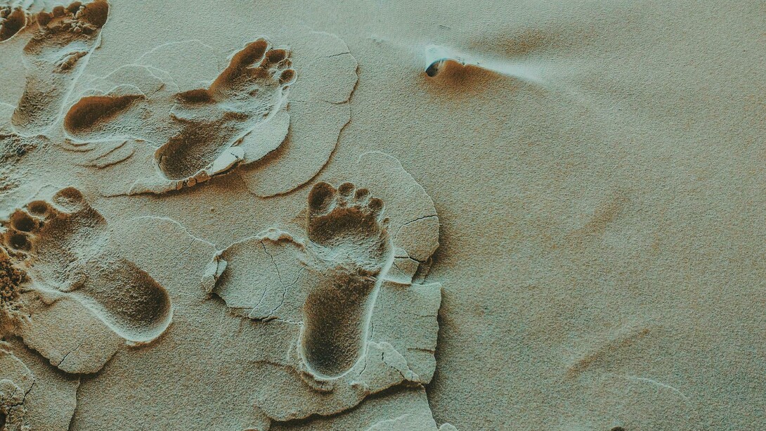 O cansaço vence e chega a hora favorita dos pés, quando o corpo está na horizontal e finalmente eles podem sentir o ar e, com a luz apagada sonham com o vento, com massagens, com carinho de areia e água do mar, sonham com passos de dança e corrida na grama fresca, sonham com asas... 