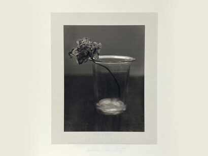 Tomio Seike, Dried Tulip #2, platinum print, printed by M. Nishimaru in 2004, edition of 15. Courtesy of the Hamiltons Gallery