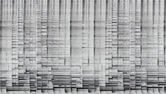 Demostración de una pista de audio generada algorítmicamente con música bossa nova acompañada de guitarra eléctrica