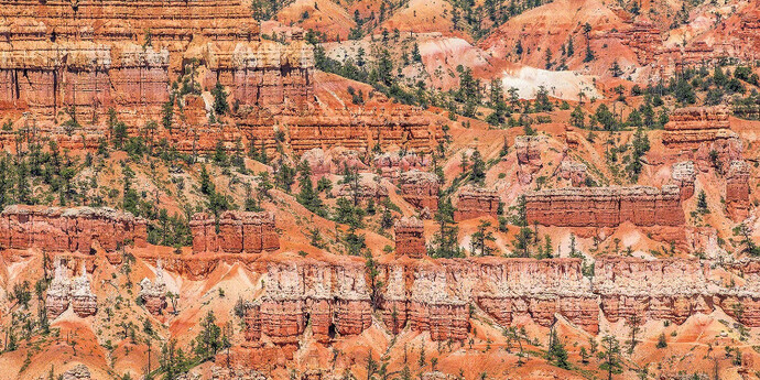 Pattern in Landscape. Courtesy of Front Room