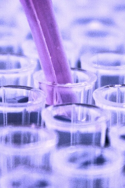 La incesante búsqueda de la verdad