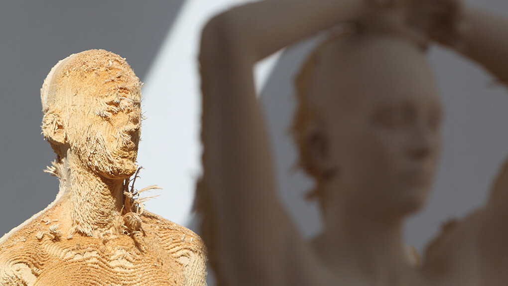 Aron Demetz. Memoridermata