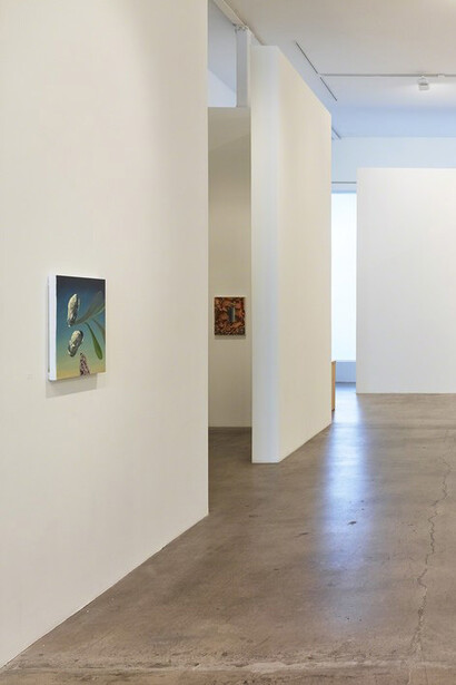 Damien Flood. Courtesy of Diane Rosenstein