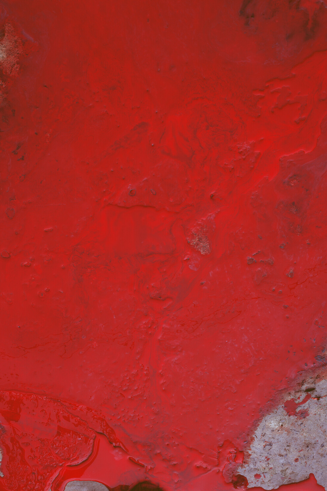 Caio Reisewitz, Tupanceretan, 2015, C-print sous Diasec, 222 x 180 cm, Edition : 5 + 2EA, Courtesy Bendana I Pinel Art Contemporain & artiste
