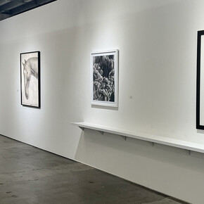 Various artists, Color blind, exhibition view. Courtesy of Winston Wächter Fine Art