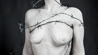 Giovanna D’Amico, Rebirth, 2009