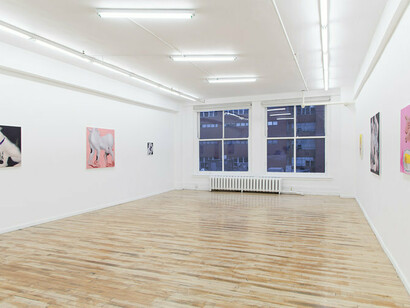 Installation view