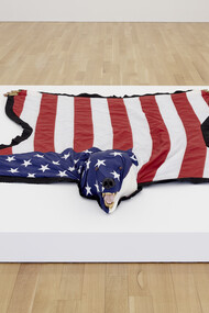 Nicholas Galanin, The American Dream is Alie and Well