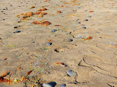 Microplastiche sulla spiaggia di Famara alle Canarie, Spagna