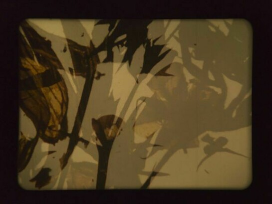 Stan Brakhage, The Garden of Earthly Delights, (still), 1981, Copyright the estate of Stan Brakhage, courtesy the estate of Stan Brakhage and Anthony Reynolds Gallery, London