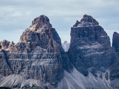 Foxes inhabit every climate in the Northern Hemisphere, including mountains