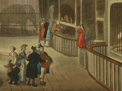 Polito’s Royal Menagerie at the Exeter ’Change in London, 1812. A collection of exotic animals owned by Stephen Polito, a touring showman in Georgian England of Italian descent who had come from his own country to find fortune in London and the provinces. The artist Edwin Landseer came here to study and paint polar bears “true to life.” (Courtesy of E. K. Duncan)