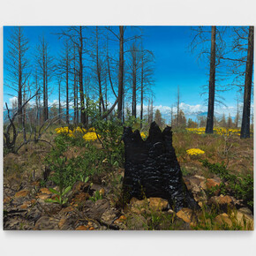 John Seal, Shasta-Trinity National Forest 1, 2023. Oil on canvas, 44”h x 54”w (112 x 137cm). Courtesy of Harkawik Gallery