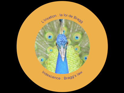 ‘Les Paradis Mathématiques’, 2011, Created in 2011 by Beatriz Milhazes and BUF for the exhibition Mathematics, A Beautiful Elsewhere, Courtesy of the Collection of the Fondation Cartier pour l’art contemporain, Paris