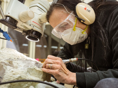 MCDonald’s Fossil Preparation Lab. Courtesy of Field Museum