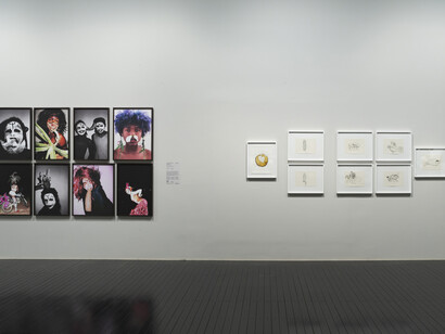 Diversos artistas, Histórias da ecologia, vista da exposição. Cortesia do MASP