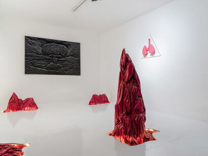 Romeo Gómez López, Life on Mars, vista de exhibición. Cortesía de Galería Travesía Cuatro 