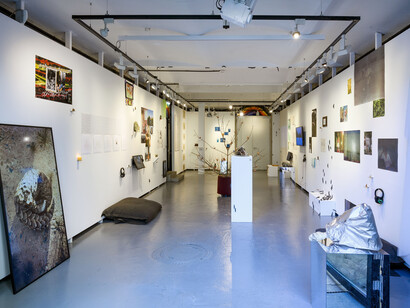 The institute of queer ecology, I wish we had more time, exhibition view. Courtesy of Kunst Haus Wien