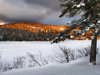 Nature shows the differences and disasters of climate change. Mountains and trees lit up and snow nearby still frozen. 