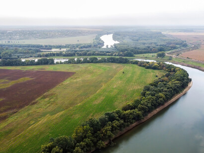 Vegetação e plantações. Exportações e todas as preparações exportadoras, elevam a competição, precificação e desejo económico que refletem profundamente no espelho do bem-estar social