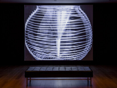 Ballet Mécanique. Courtesy of Art Gallery of Ontario