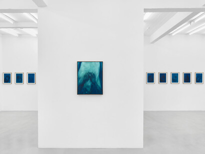 Xie Lei, Désarroi, exhibition view. Courtesy of Sies + Höke