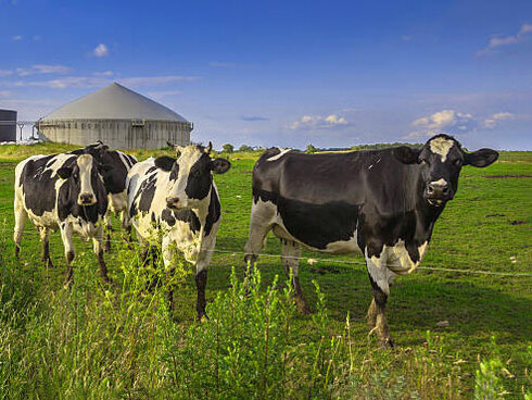 Il biogas applicato al lavoro delle aziende agricole stimola la produzione, aumenta l’efficienza e ottimizza costi e investimenti