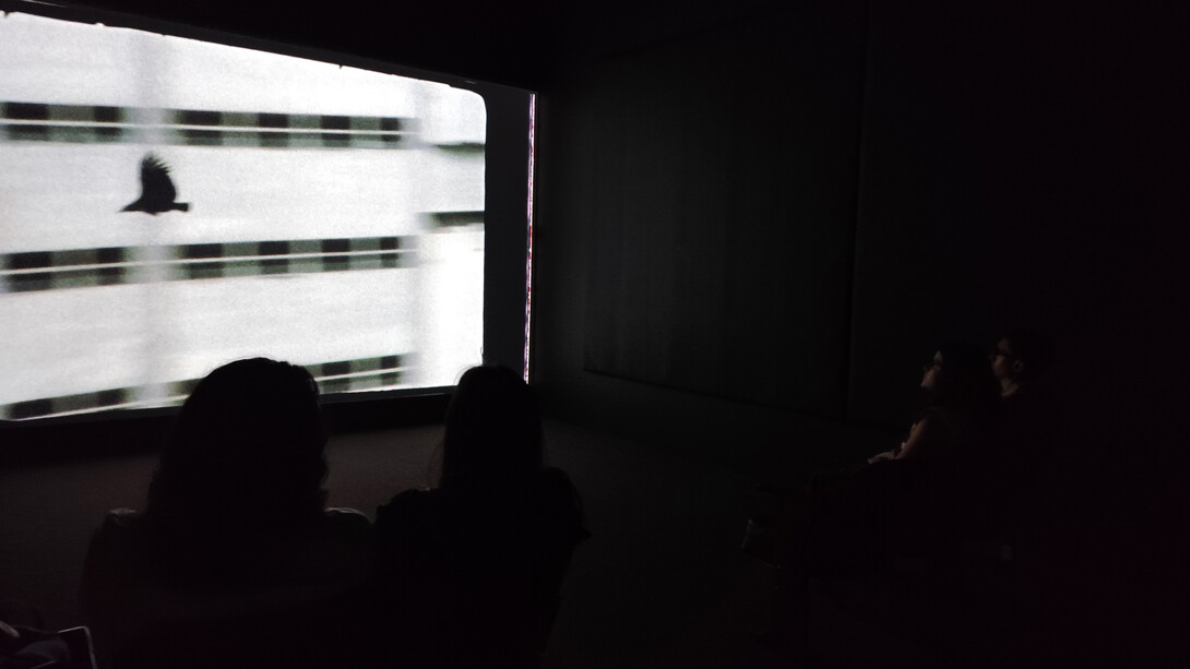 Luiz Roque, Urubu, exhibition view. Courtesy of Pinacoteca