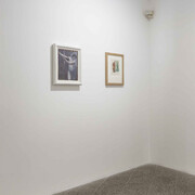 Allori senza fronde. Courtesy of MAN Museo d’Arte Provincia di Nuoro