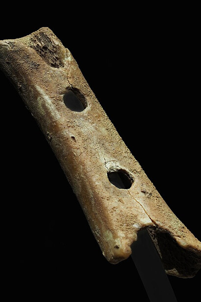 The Divje Babe flute, an alleged Late Pleistocene musical instrument dating to 43,100 ± 700 BP, is housed in the National Museum of Slovenia